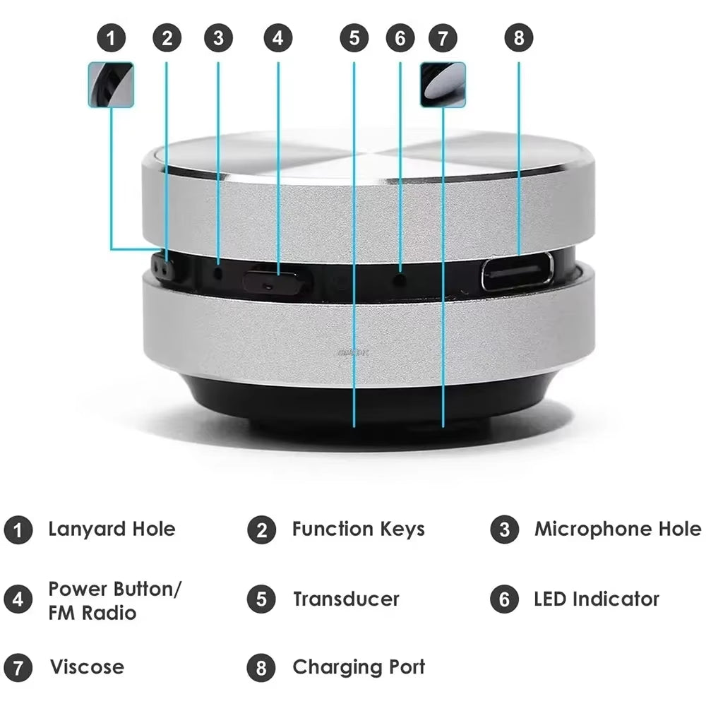 Mini Hummingbird Bone Conduction Speaker Bluetooth-Compatible TWS Wireless Stereo Dual Sound Audio Box Speakers with FM Radio